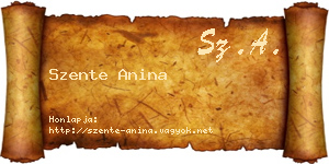 Szente Anina névjegykártya